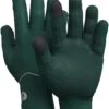 Smartwool Active Fleece Glove | Gloves