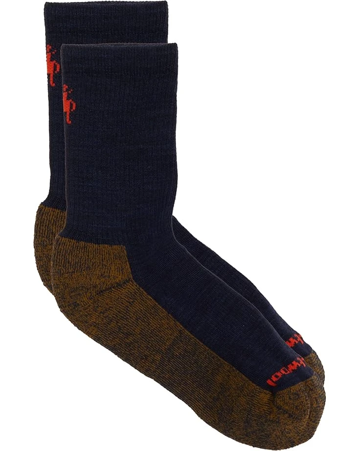 Smartwool Kids Hike Light Cushion Crew (Toddler/Little Kid/Big Kid) | Socks 1 Smartwool Kids Hike Light Cushion Crew (Toddler/Little Kid/Big Kid) | Socks