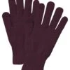 Smartwool Liner Glove | Gloves