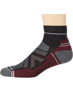 Smartwool Performance Hike Light Cushion Ankle | Socks