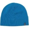 Smartwool The Lid | Hats