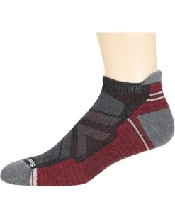 Smartwool Performance Hike Light Cushion Low Ankle | Socks